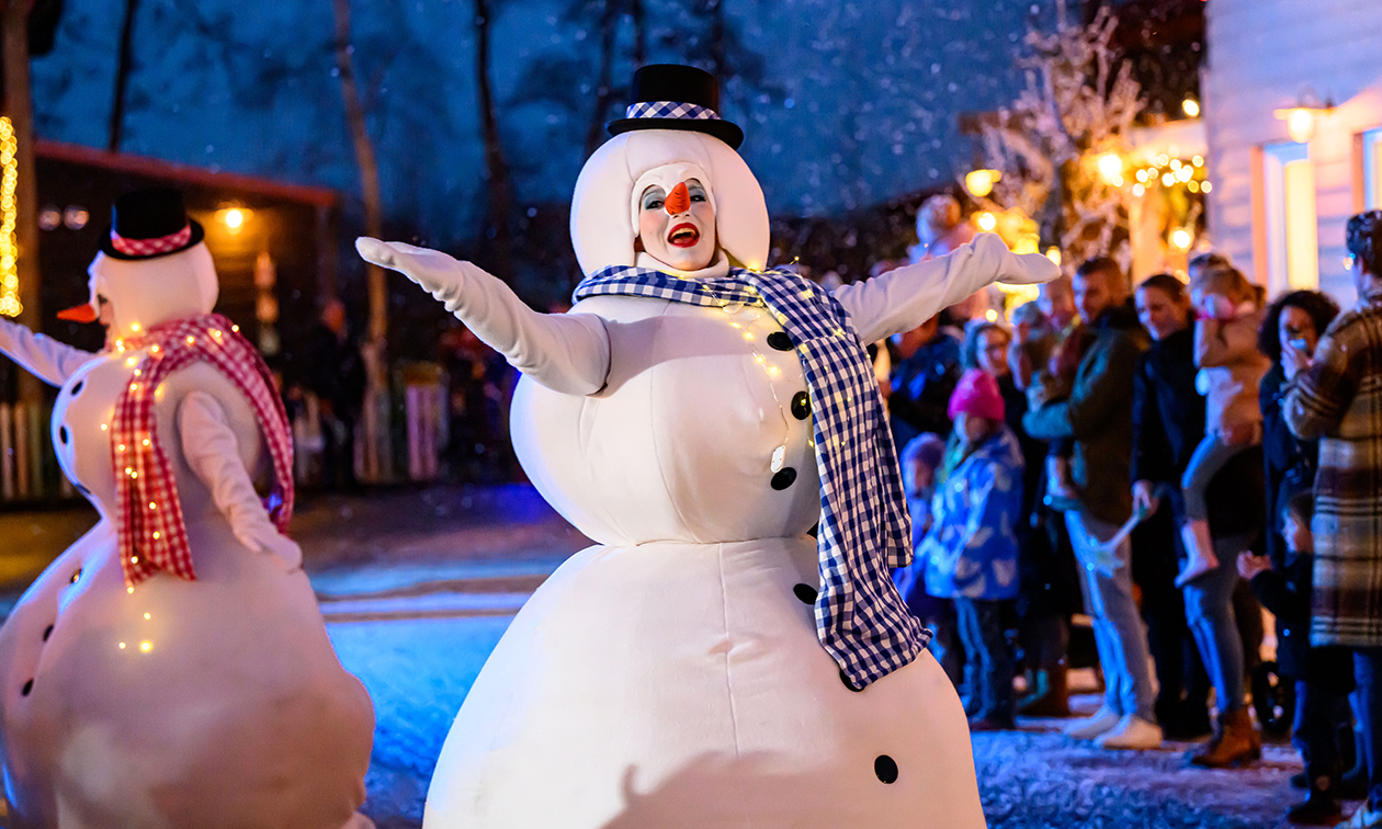 Familie Resort Molenwaard