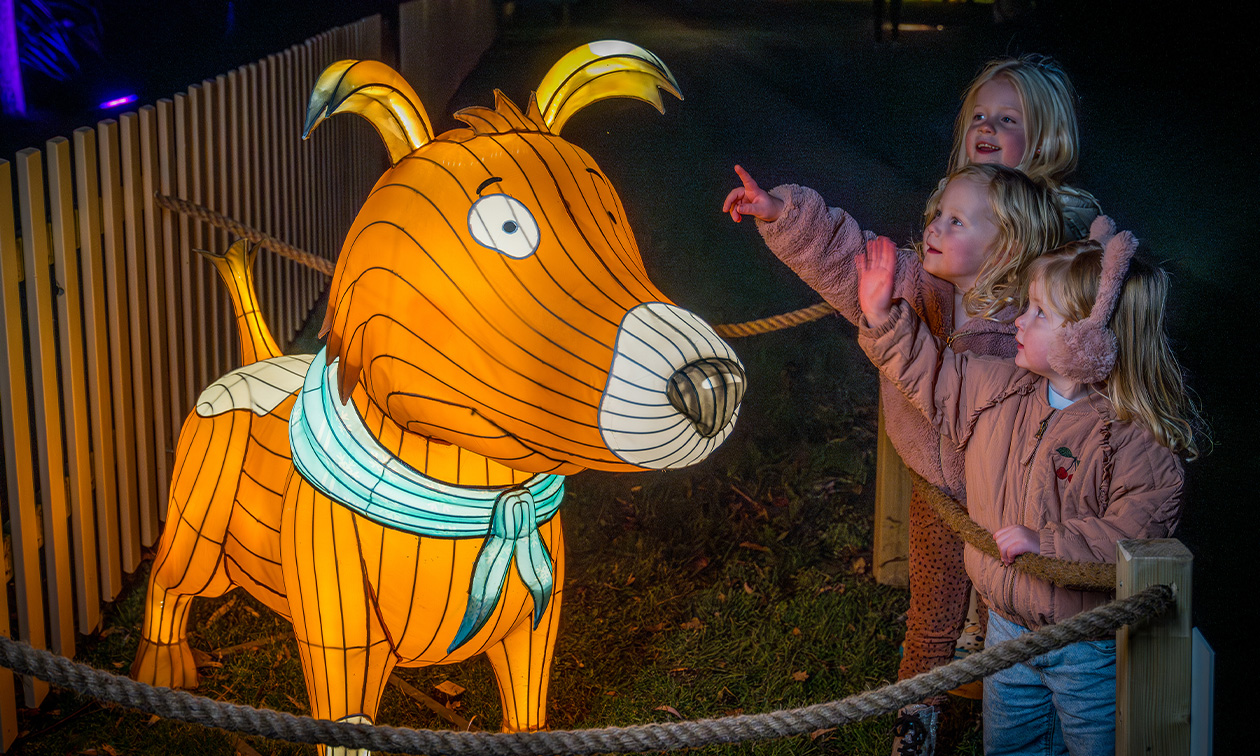 Familie Resort Molenwaard