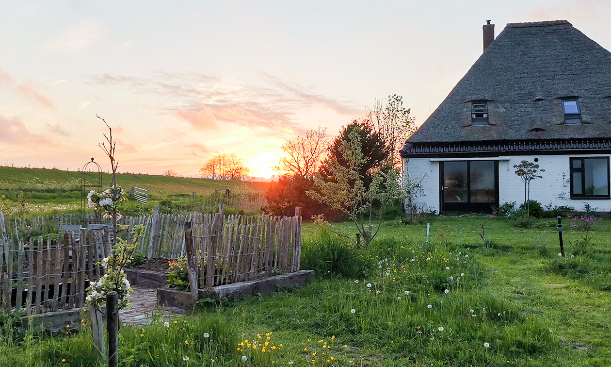 Farmstay Zijperdijk