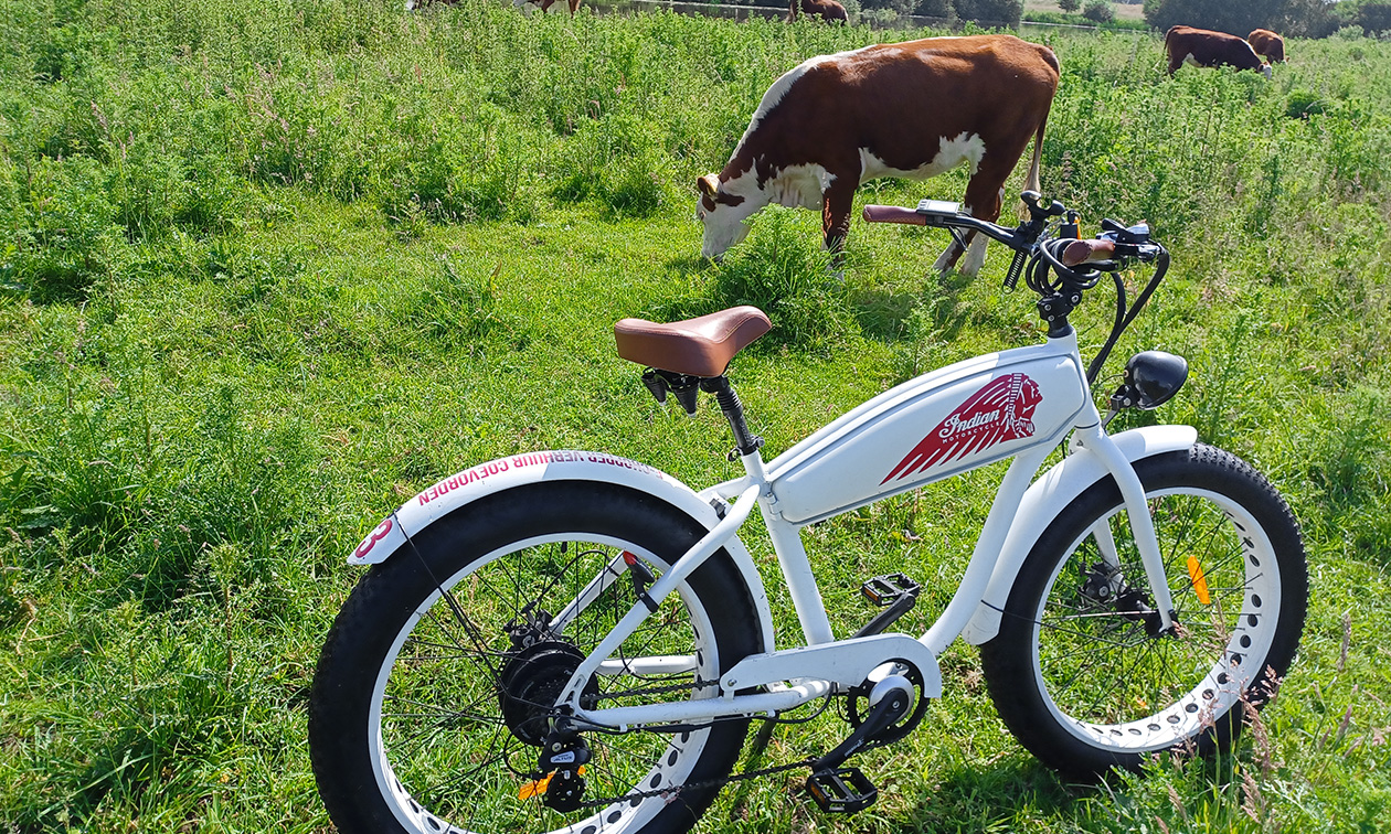Fatbike Verhuur Coevorden