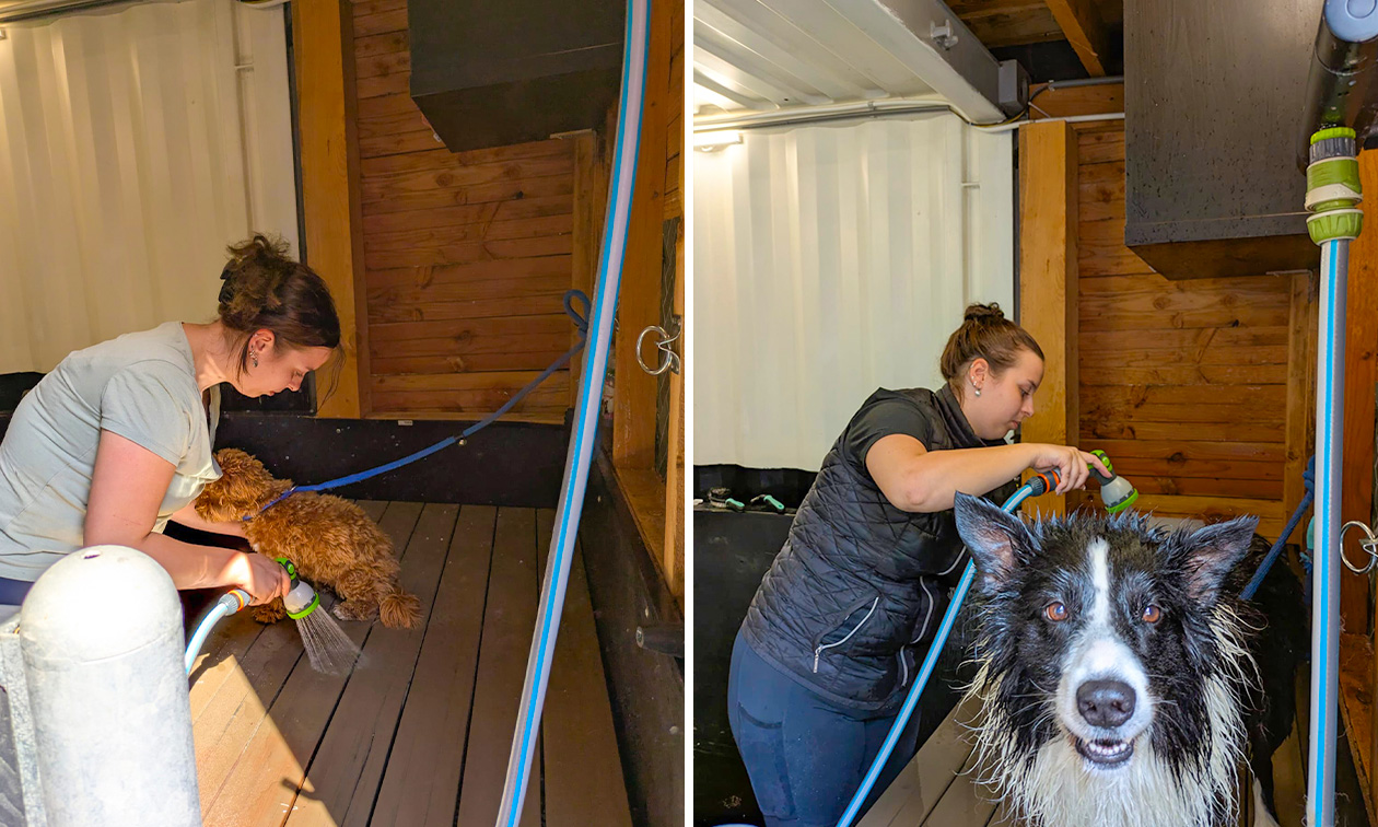 Felicia's hondentrimsalon