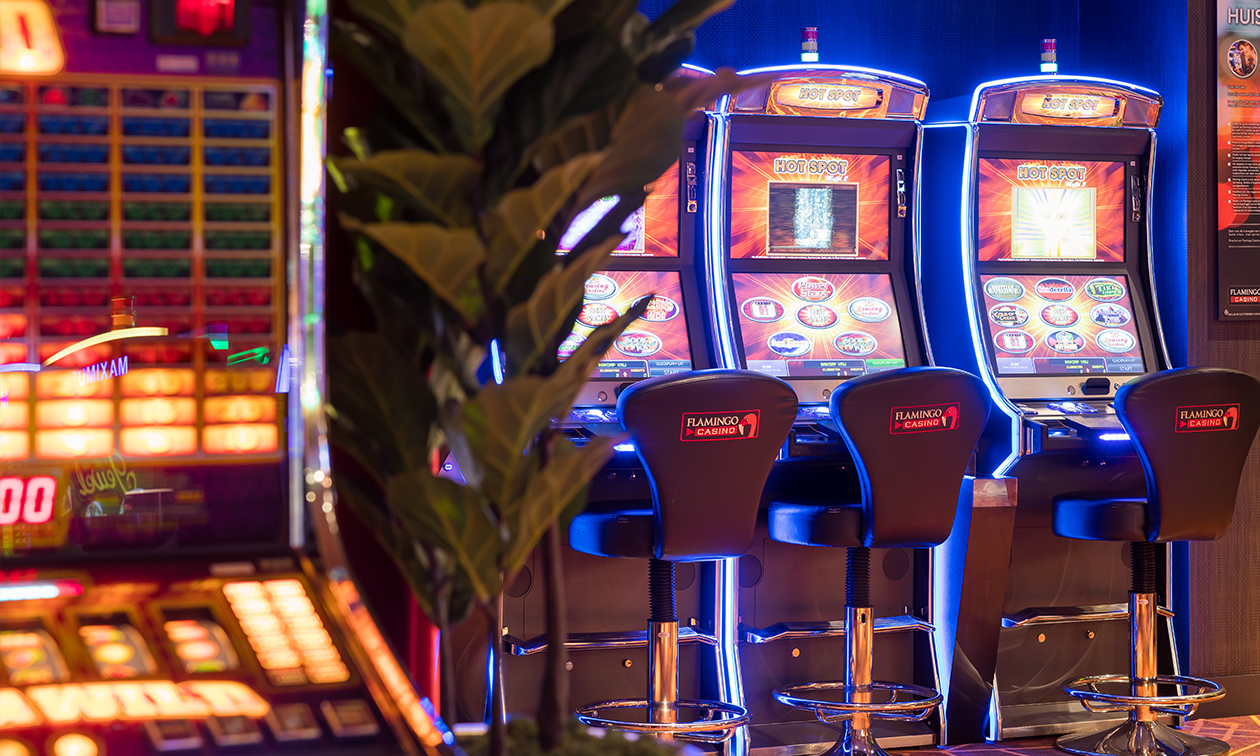 Flamingo Casino