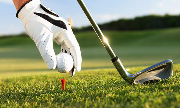 Golfbaan Het Wedde