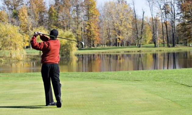Golfbaan Het Wedde