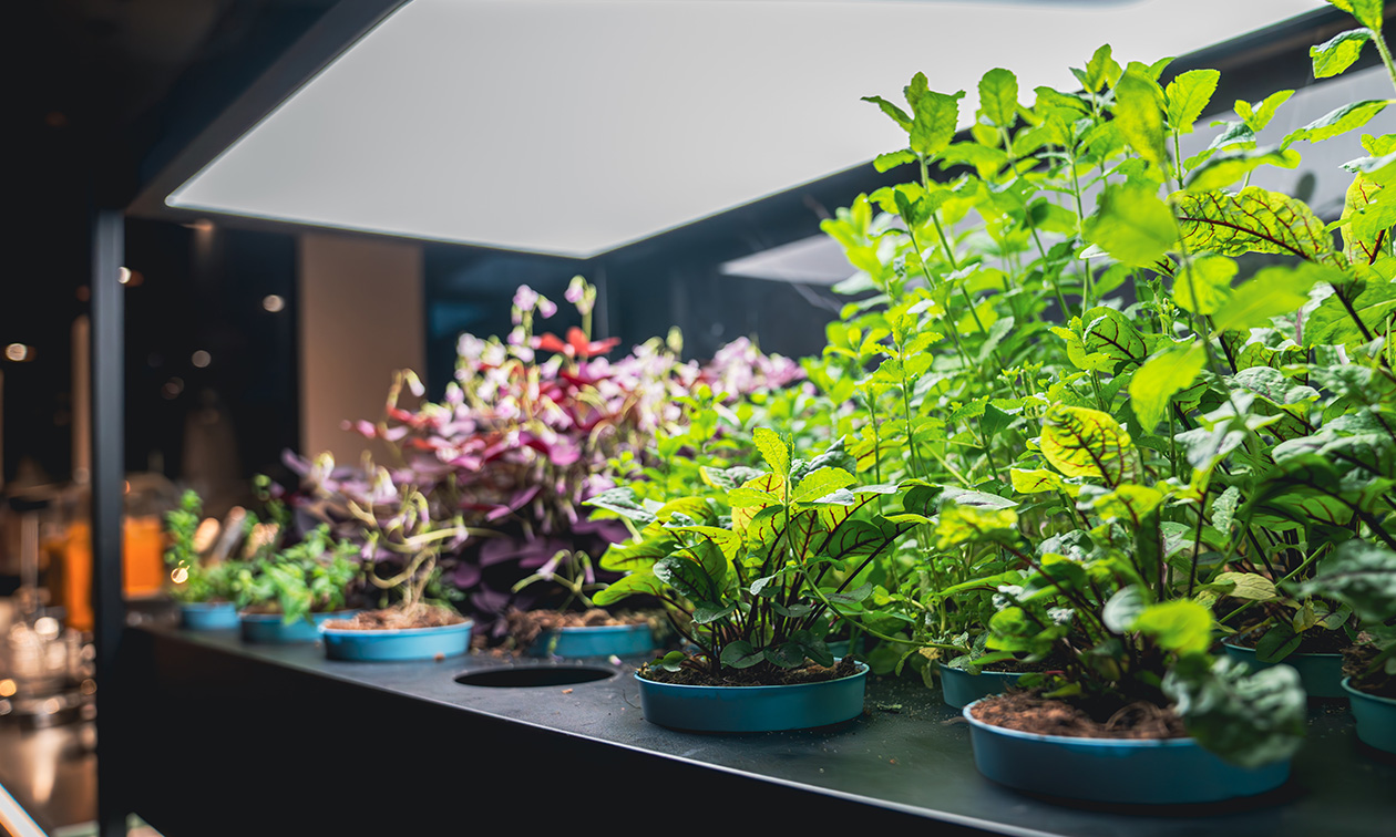 Grand Hotel De Draak