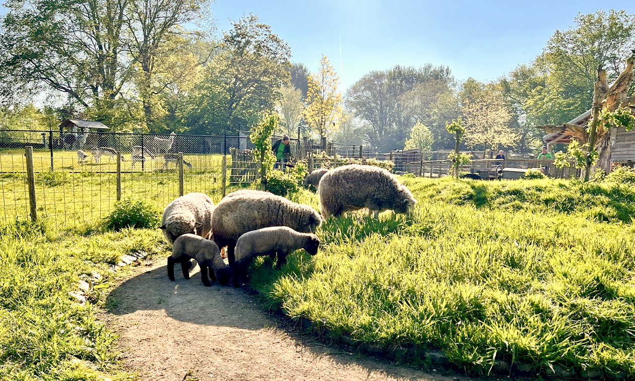 Hertenkamp Enkhuizen