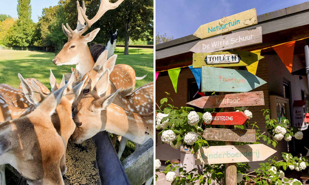 Hertenkamp Enkhuizen