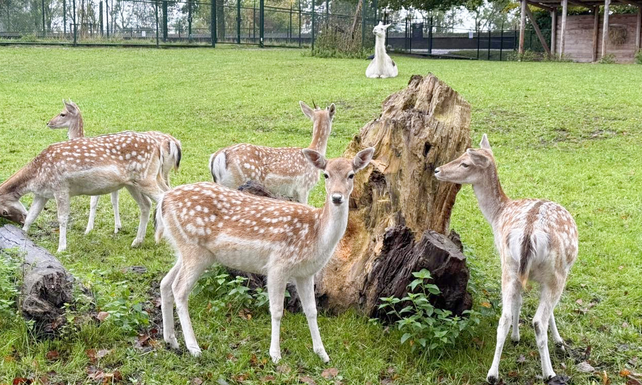Hertenkamp Enkhuizen