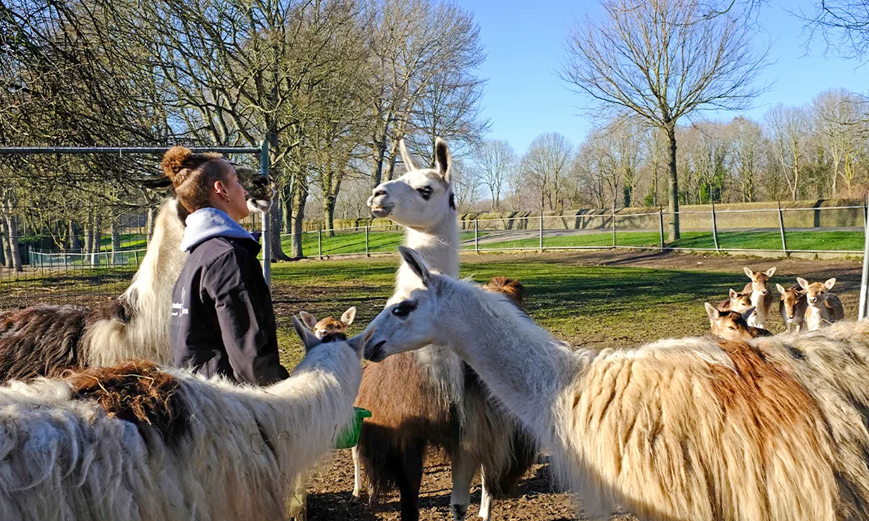 Hertenkamp Enkhuizen