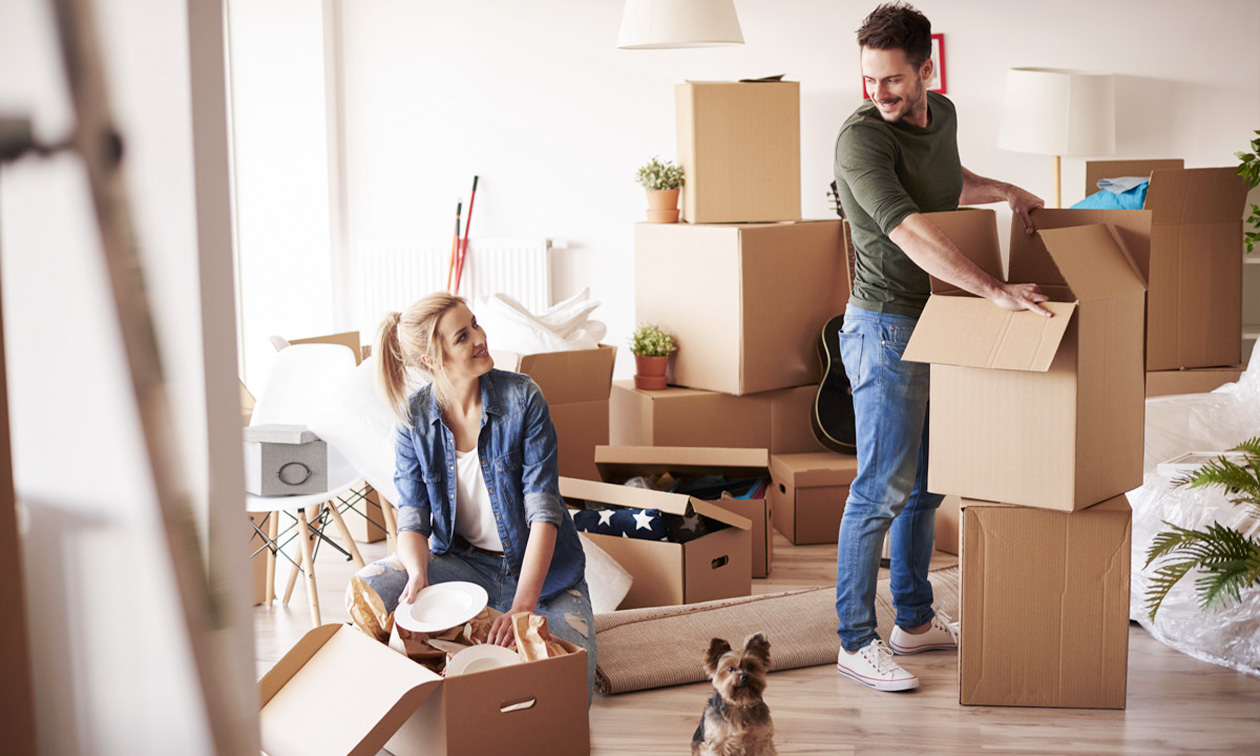 Hilberg Verhuizingen