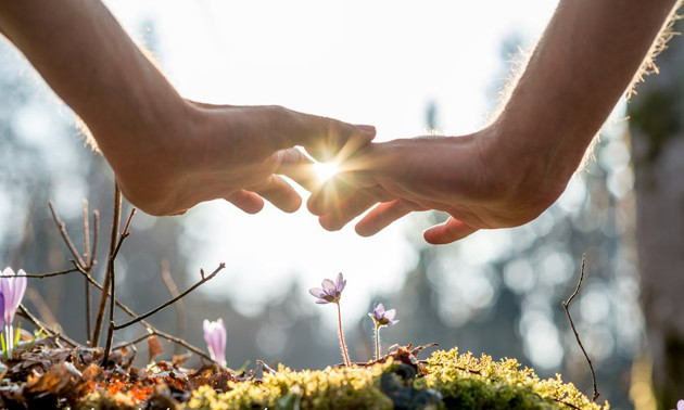 Holistic touch & oils