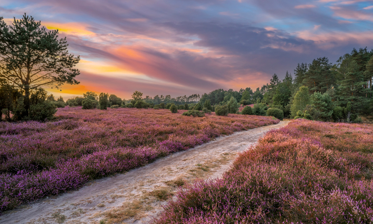 Hotel-Restaurant Victoria-Hoenderloo