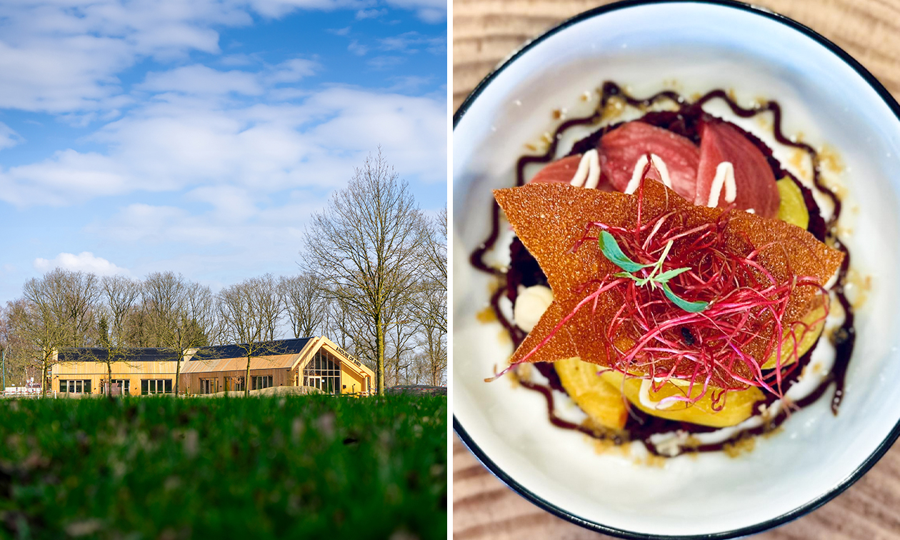 House of Bird Kwintelooijen