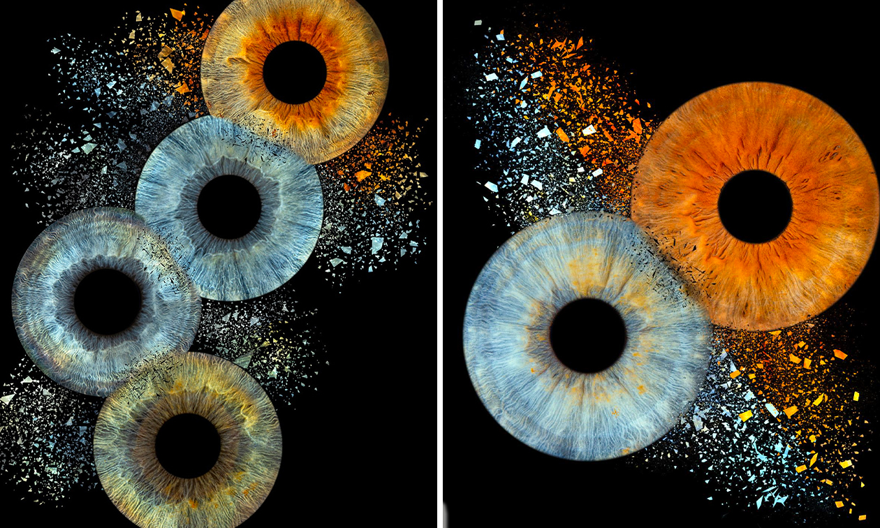 Iris Artwork