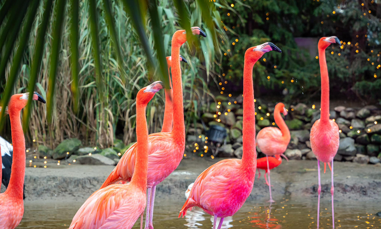 Jonker Photography