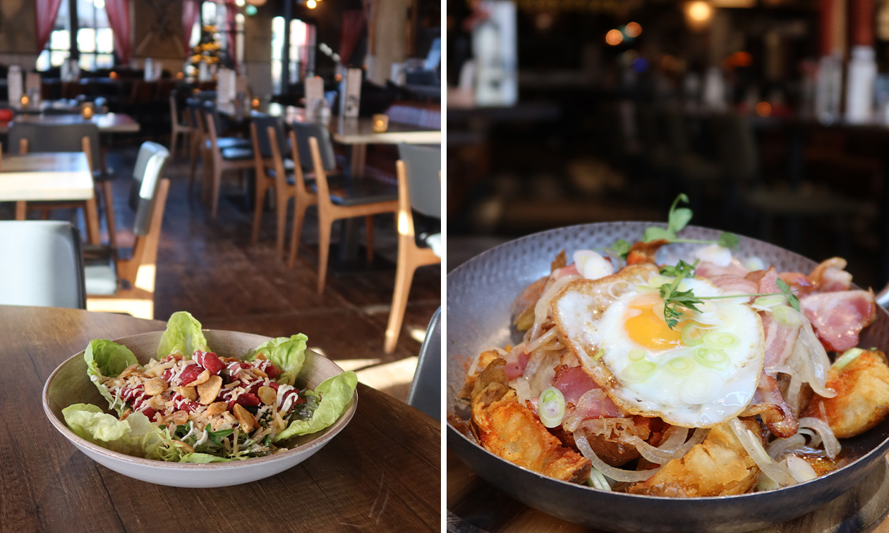 Kühe und Käse Zoetermeer