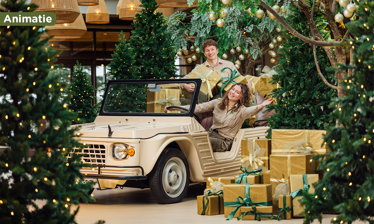 Lake Resort Beekse Bergen