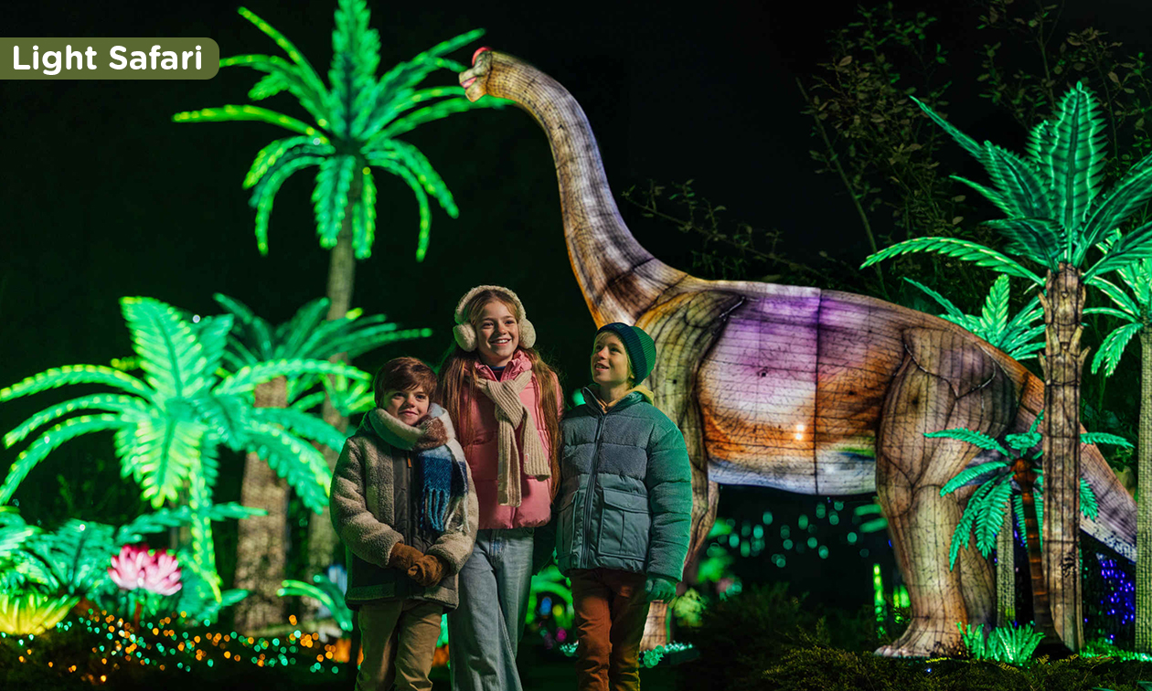 Lake Resort Beekse Bergen