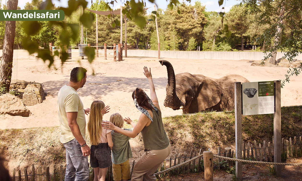 Lake Resort Beekse Bergen