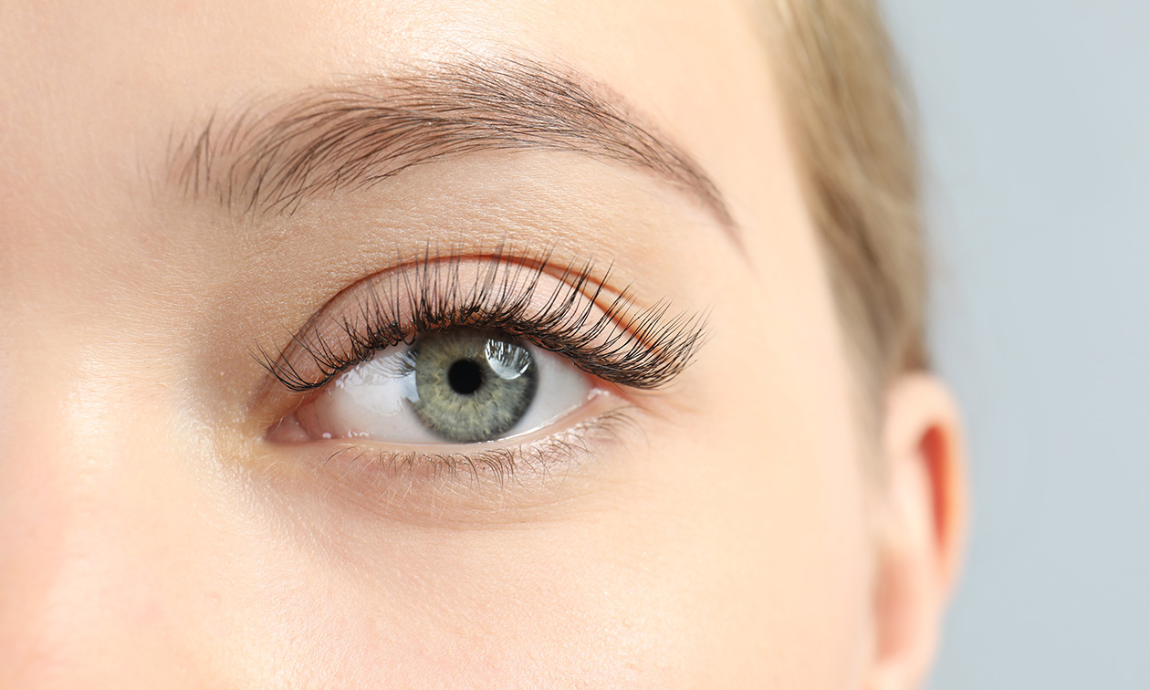 Lashbynez