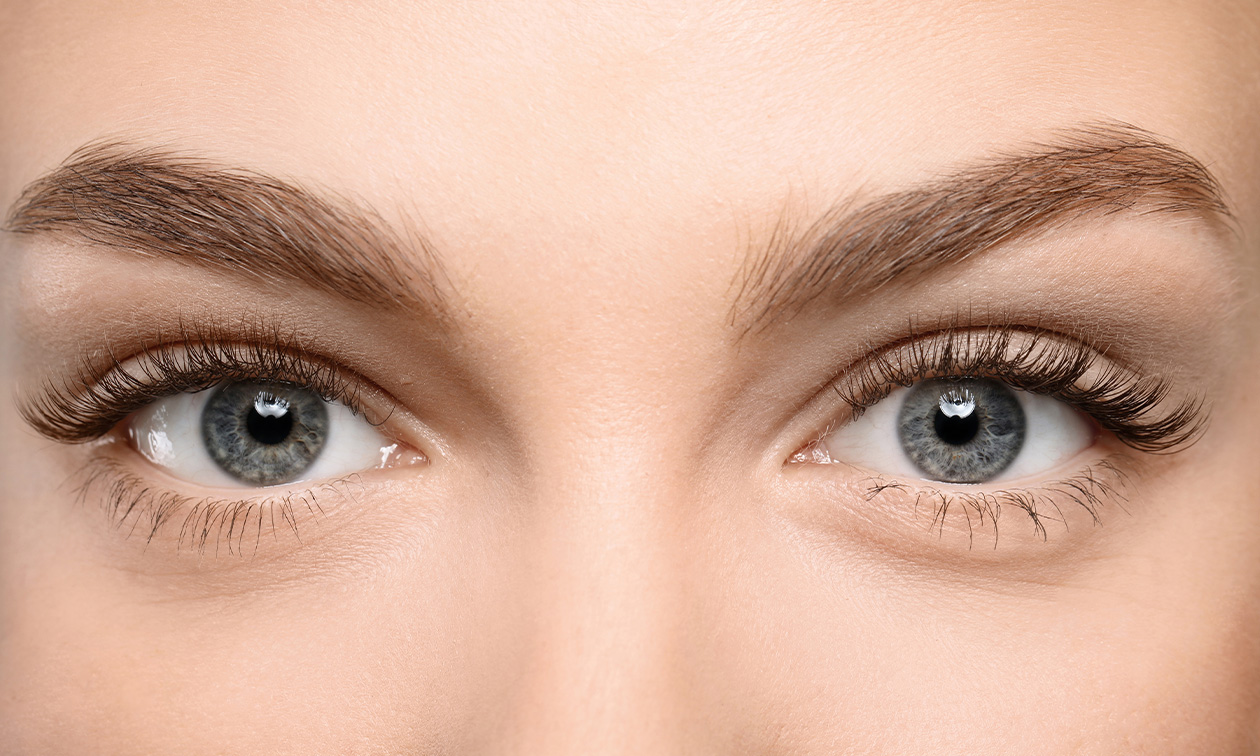Lashbynez