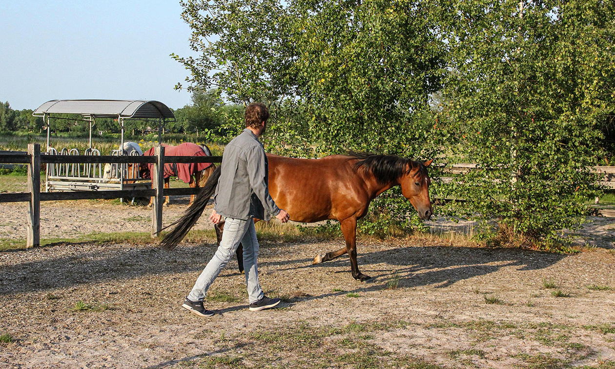 Leadrope Coaching