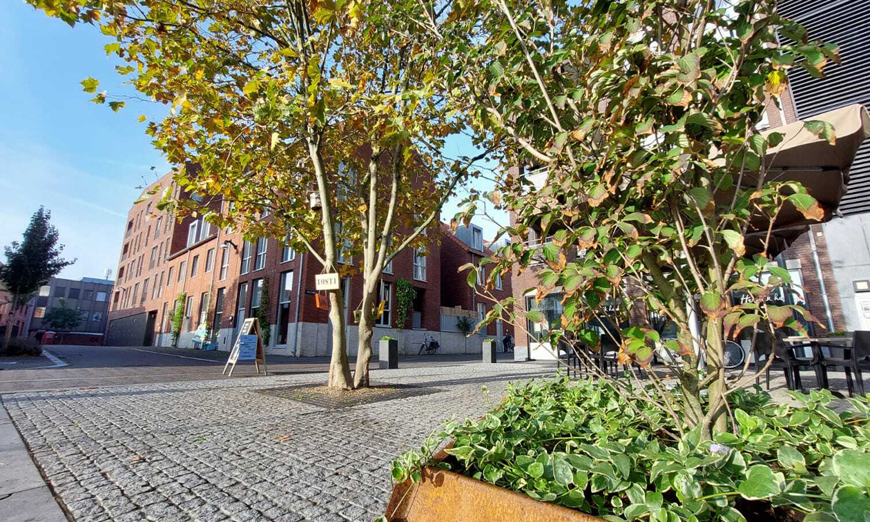 Lunchroom Hertelik Hepke