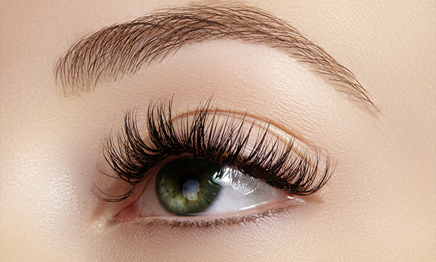 Luxe lashes by Salima