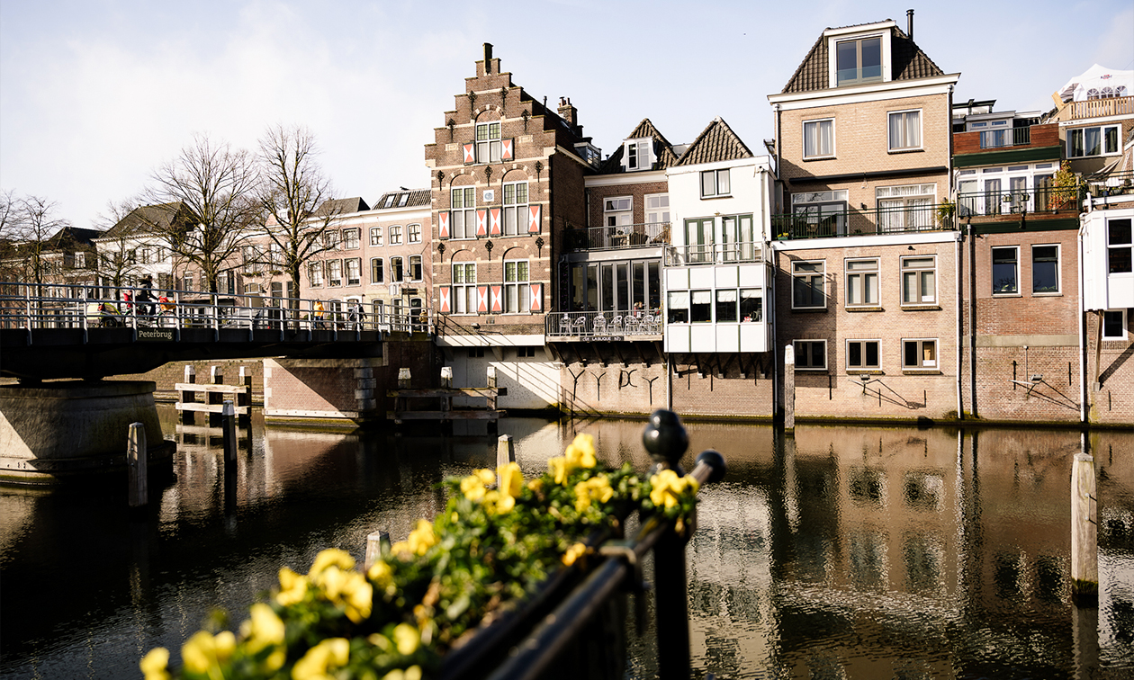 Ontdek Stadswandelingen