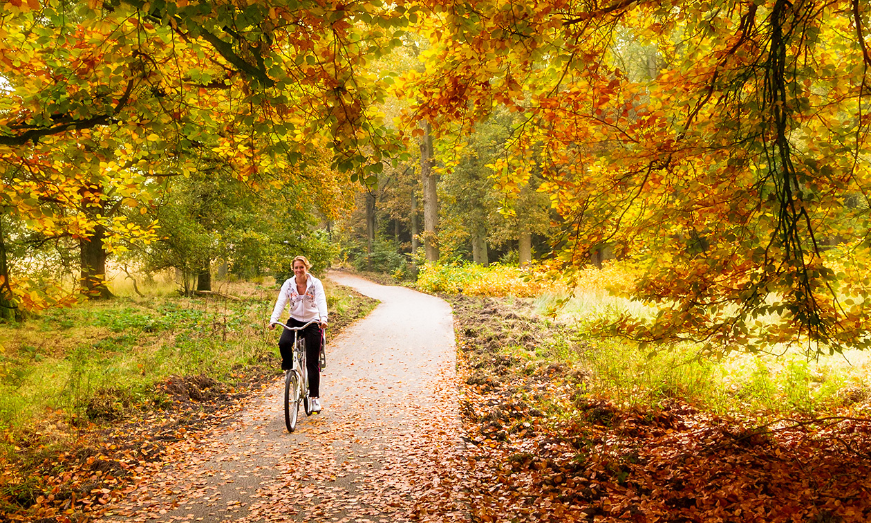Pannenkoekenboerderij Grietje