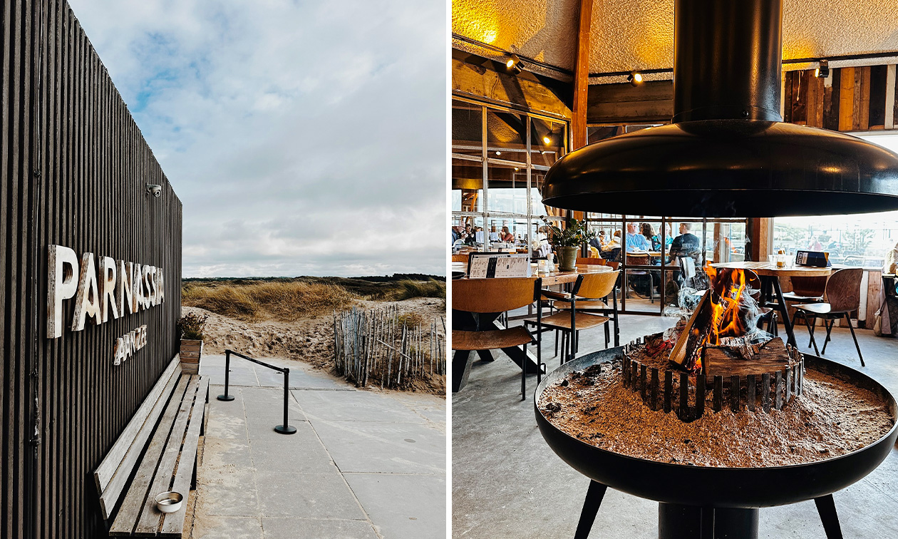 Parnassia Aan Zee