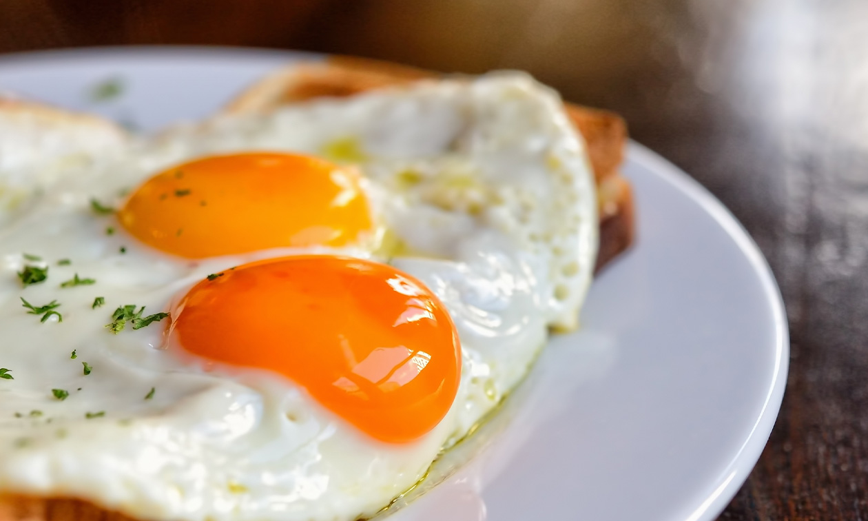 PixLife Nature Xperience