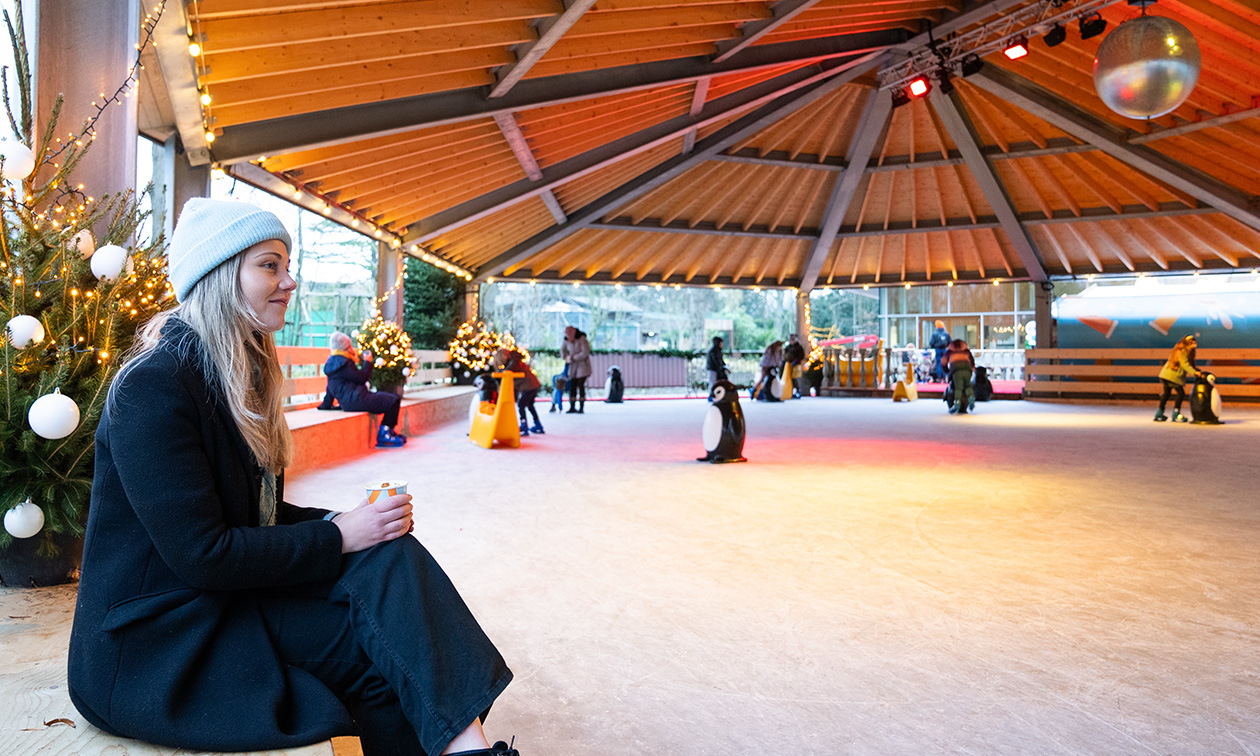 Plaswijckpark Rotterdam