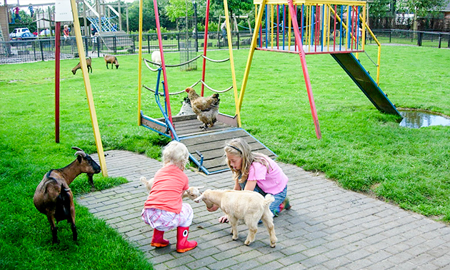 Recreatiepark Pukkemuk