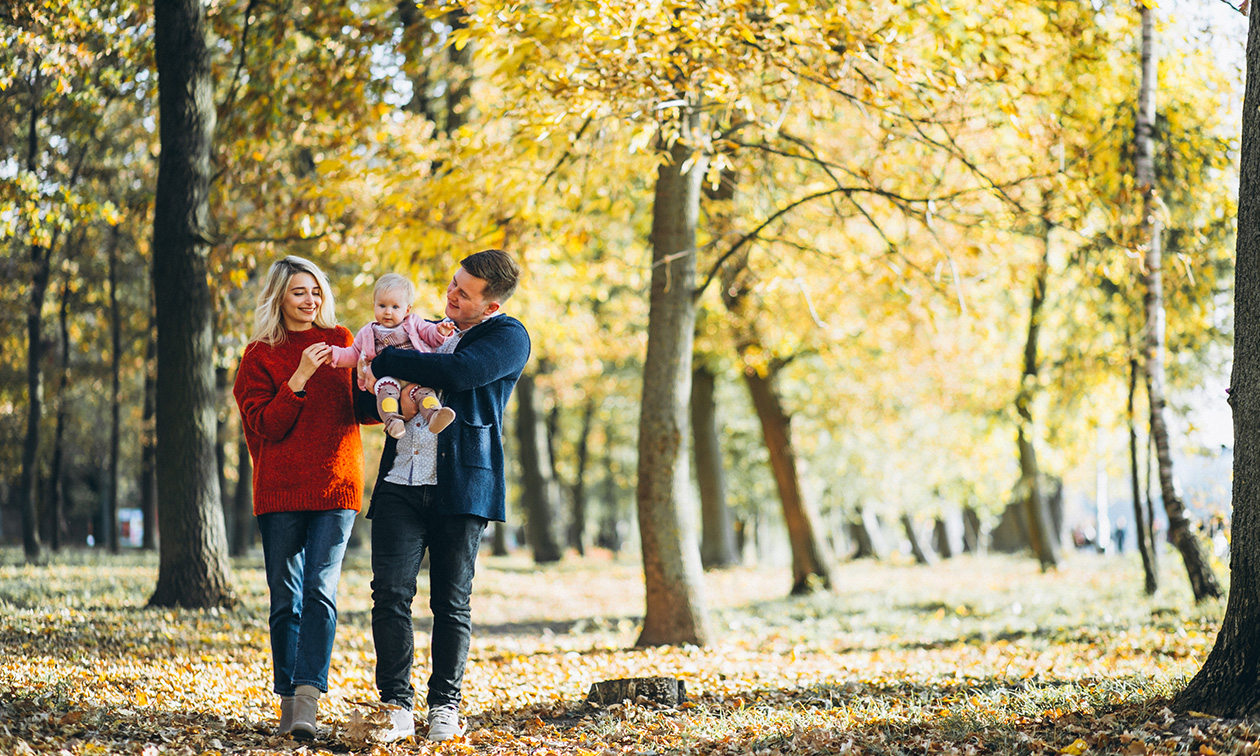 Restaurant Café Modern
