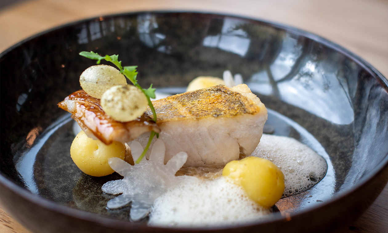 Restaurant Oxalis