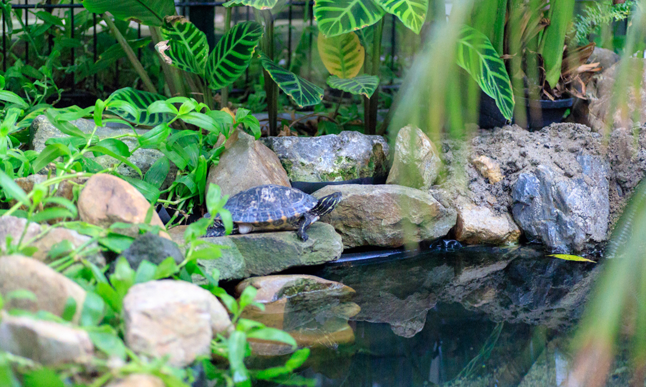 Restaurant Watertuin Naaldwijk