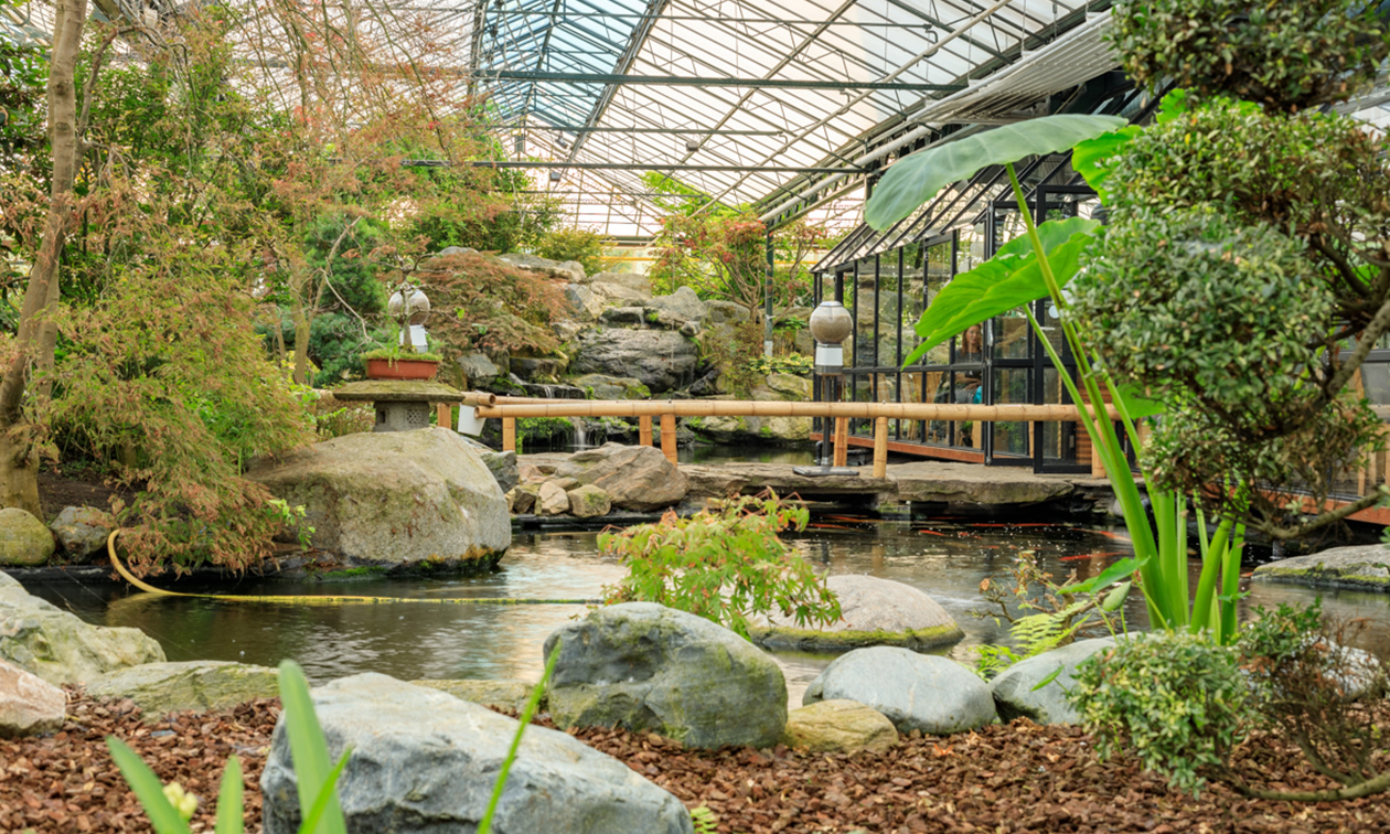 Restaurant Watertuin Naaldwijk