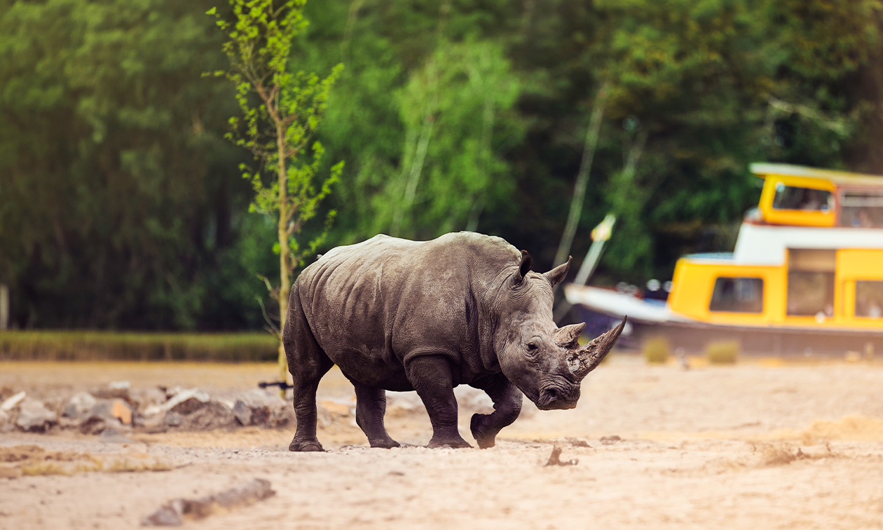 Safaripark Beekse Bergen