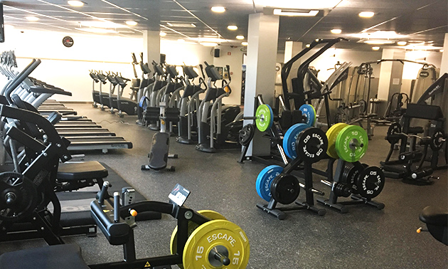 Solidgym
