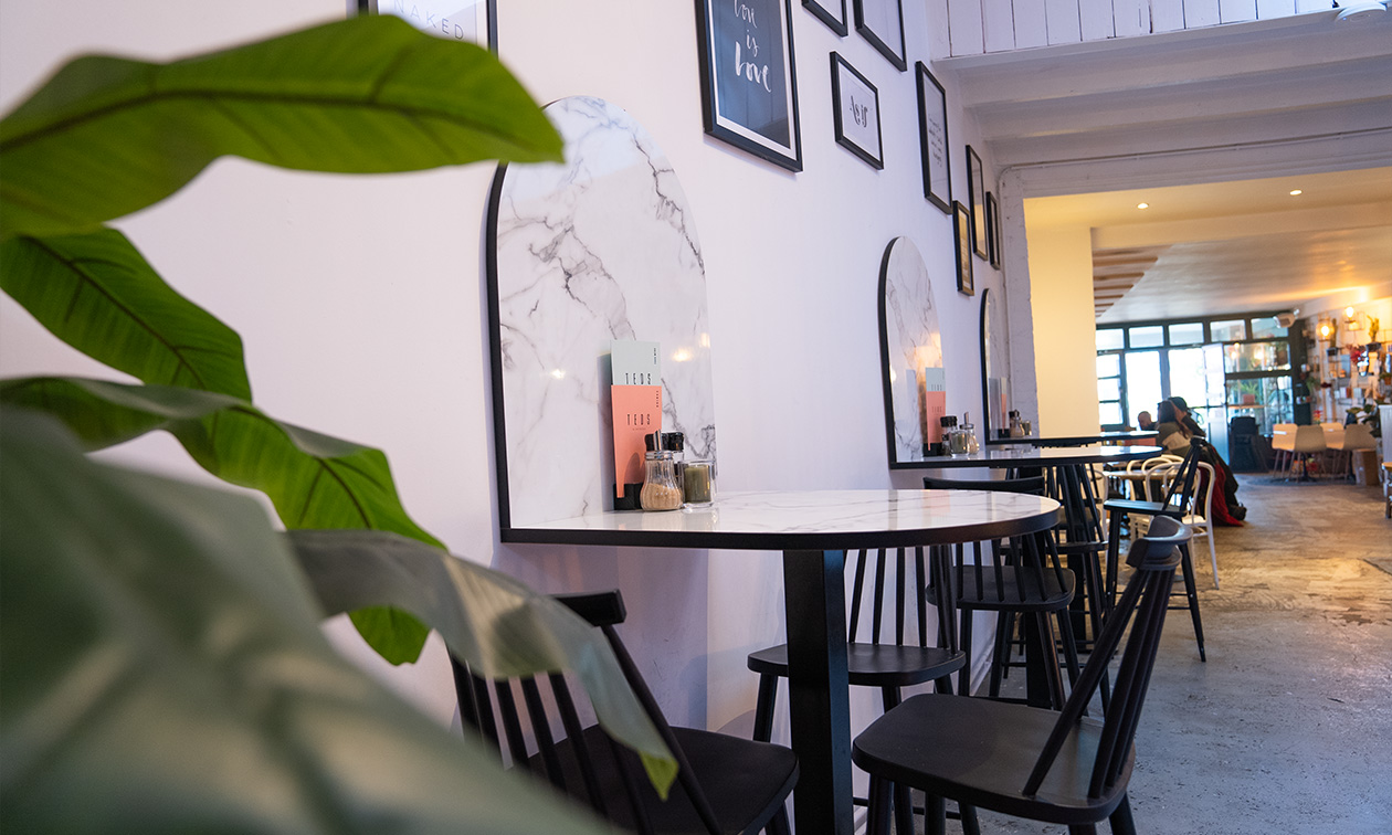 Teds Haarlem