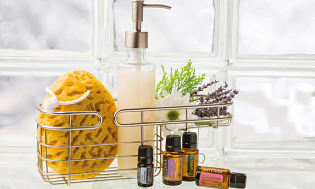 The Essential Oil Lifestyle