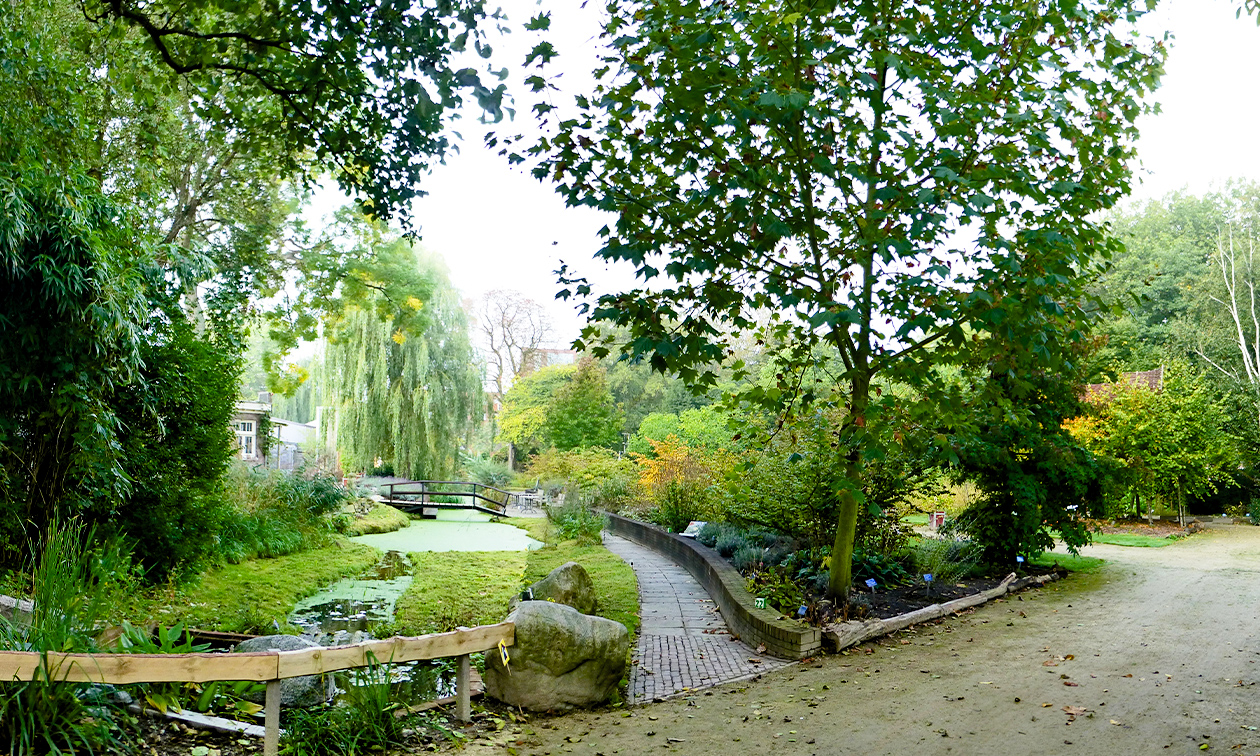 TU Delft Hortus Botanicus