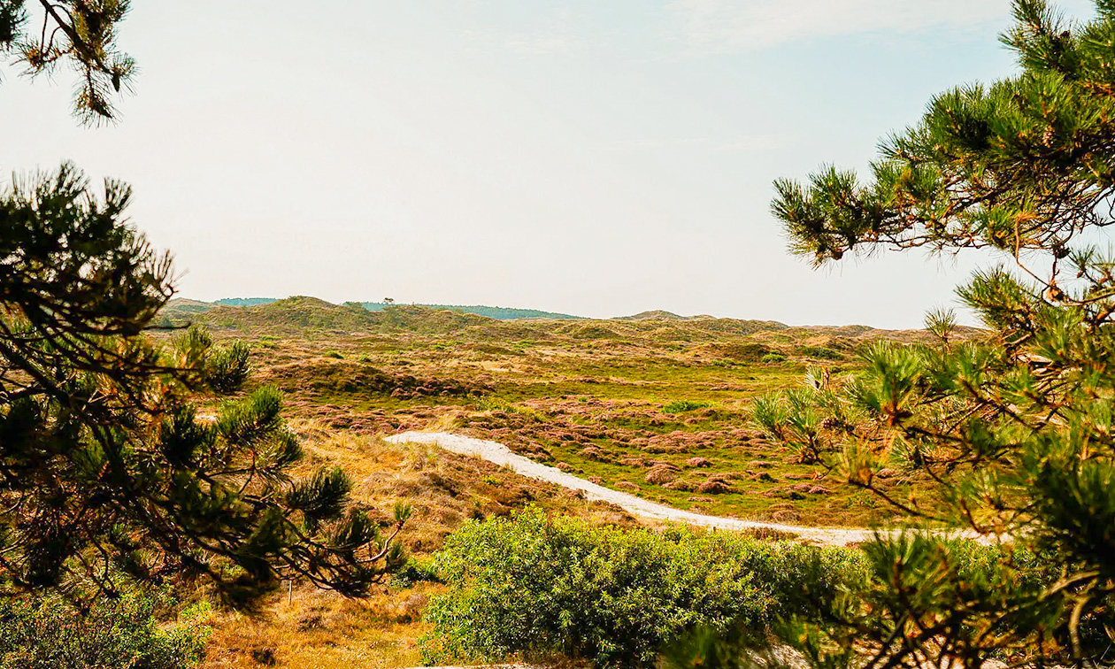 Vakantiepark Buiten Bergen