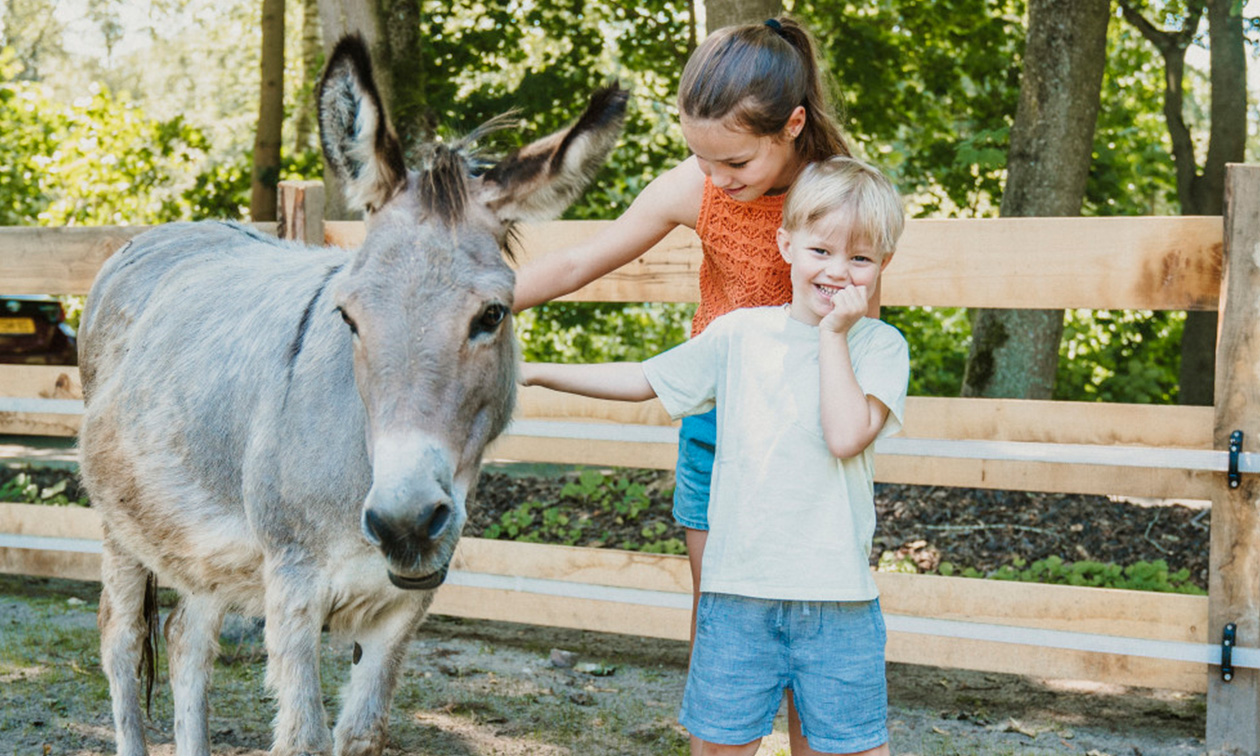 Vakantiepark Dierenbos