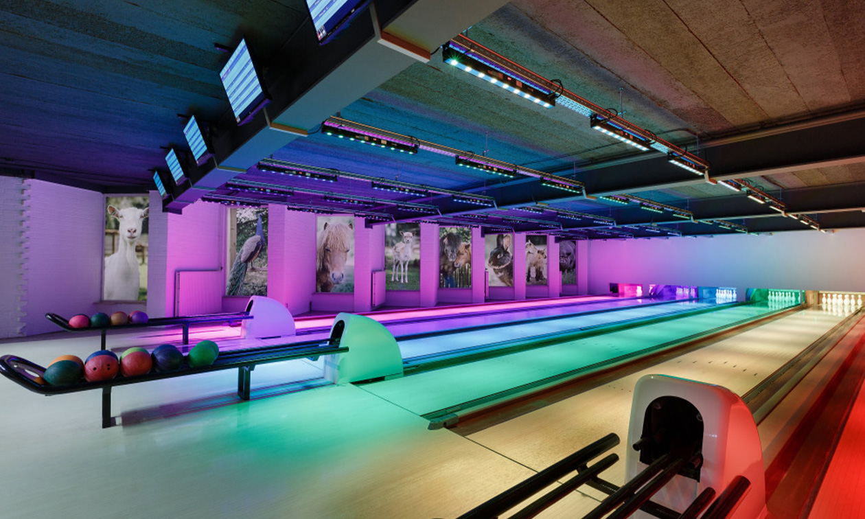 Vakantiepark Dierenbos