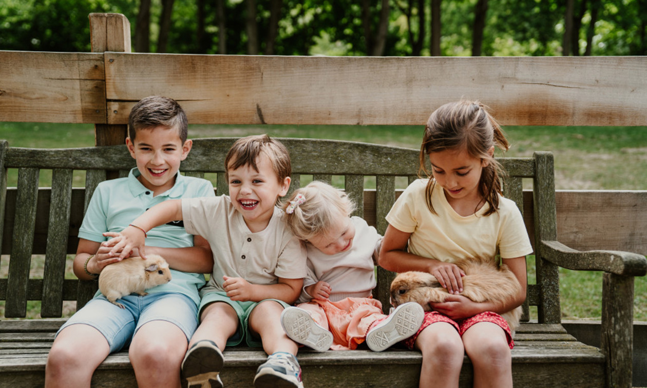 Vakantiepark Dierenbos