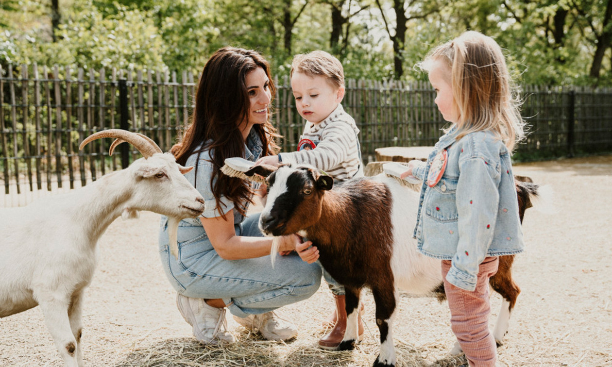 Vakantiepark Dierenbos