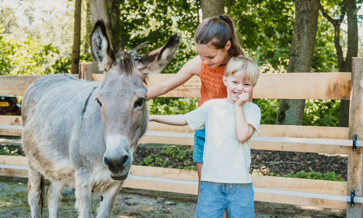 Vakantiepark Dierenbos