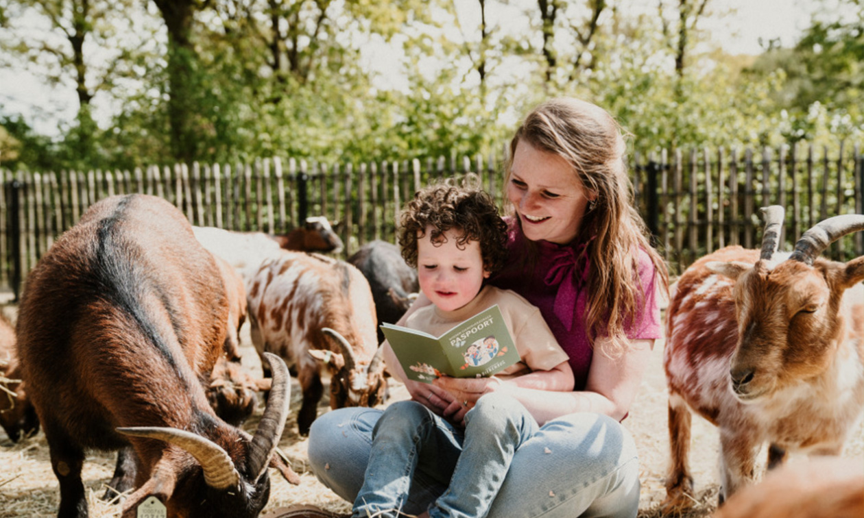 Vakantiepark Dierenbos